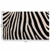 Felpudo de coco estampado zebra impreso Felpudo de coco estampado zebra impreso Blanco