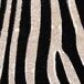 Felpudo de coco estampado zebra impreso Felpudo de coco estampado zebra impreso Blanco