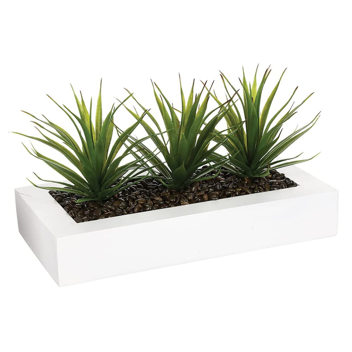 WELL HOME - Centro de mesa con 3 plantas Aloe Vera