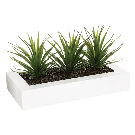 WELL HOME - Centro decorativo com 3 plantas de Aloe Vera Alt.17cm WELL HOME - Centro decorativo com 3 plantas de Aloe Vera Alt.17cm