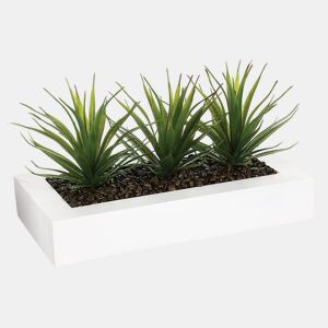 WELL HOME - Centro decorativo com 3 plantas de Aloe Vera Alt.17cm
