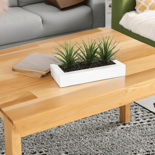 WELL HOME - Centro decorativo com 3 plantas de Aloe Vera Alt.17cm WELL HOME - Centro decorativo com 3 plantas de Aloe Vera Alt.17cm