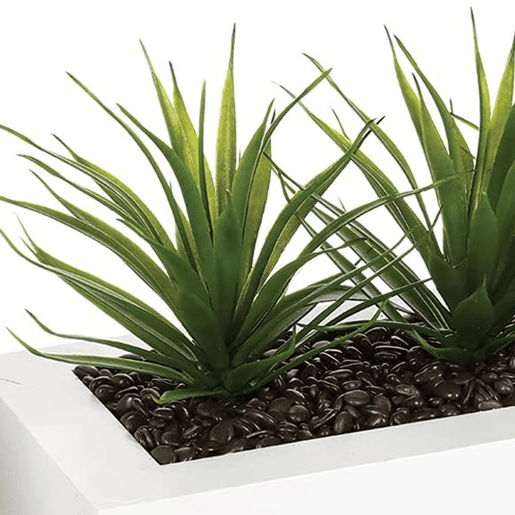 WELL HOME - Centro decorativo com 3 plantas de Aloe Vera Alt.17cm WELL HOME - Centro decorativo com 3 plantas de Aloe Vera Alt.17cm