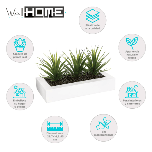 WELL HOME - Centro decorativo com 3 plantas de Aloe Vera Alt.17cm WELL HOME - Centro decorativo com 3 plantas de Aloe Vera Alt.17cm