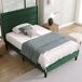 Cama individual de terciopelo Cama individual de terciopelo Verde