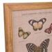 Cuadro de madera y tela impresa Cuadro de madera y tela impresa Multicolor