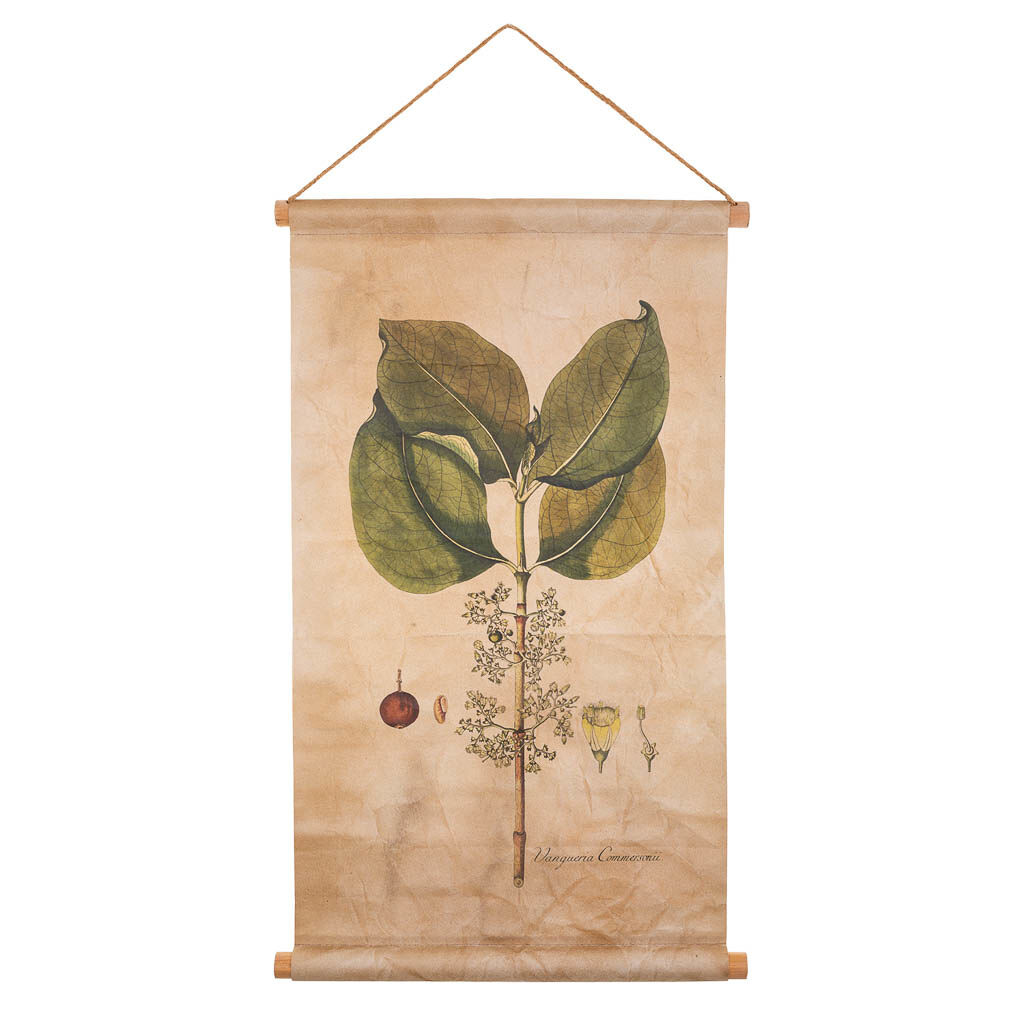 Lienzo pergamino de tela impresa 44x73x2,5