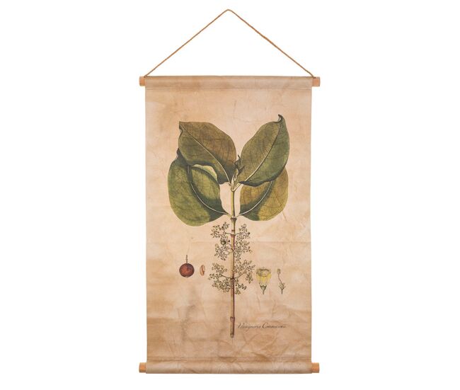 Lienzo pergamino de tela impresa 44x73x2,5