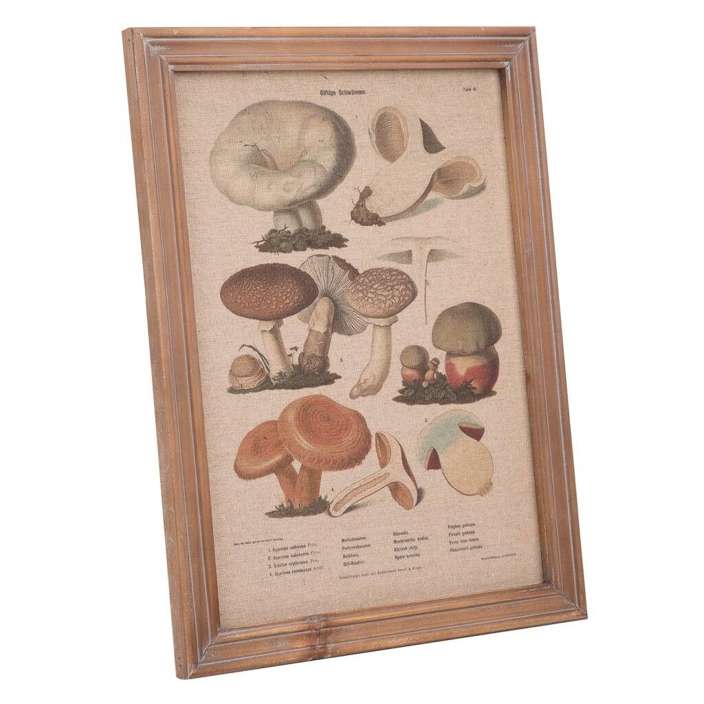 Cuadro madera y tela 33x43x1,8