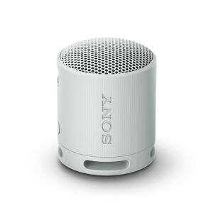 Altifalante Bluetooth Portátil Sony SRS-XB100 Cinzento