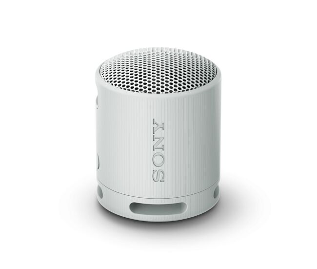 Altavoz bluetooth portátil sony srs-xb100 gris