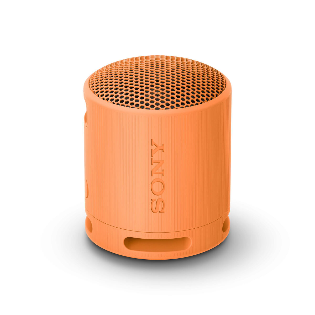 Altavoz Bluetooth Portátil SRS-XB100