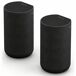 Altavoz Bluetooth Portátil SA-RS5 Altavoz Bluetooth Portátil SA-RS5 Negro