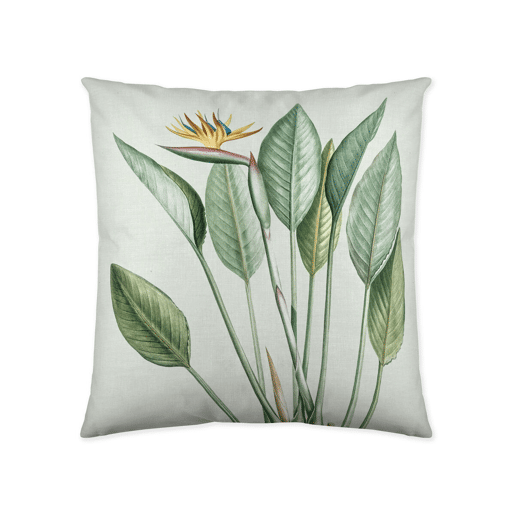 Capa de travesseiro Naturals SANIA 1 Peça 50 x 50 cm