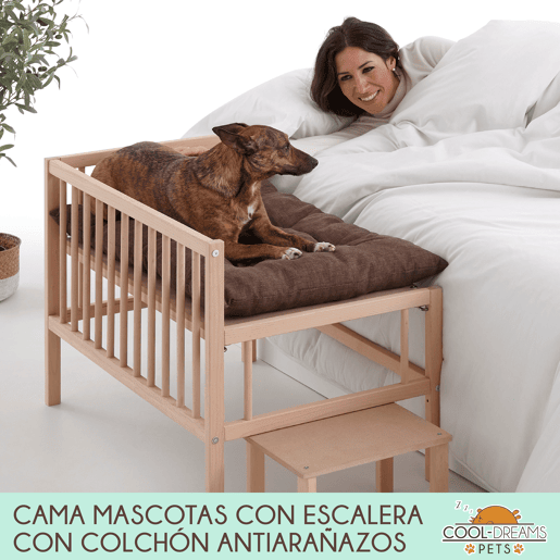 Cama elevada para animais de estimação com escada. Com colchão anti-riscos incluído. Colecho com o seu cão ou gato. 2 alturas. Faunatic Basic