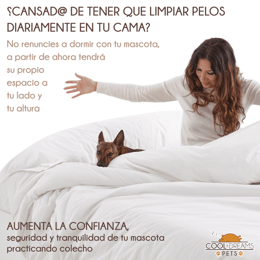 Cama elevada para animais de estimação com escada. Com colchão anti-riscos incluído. Colecho com o seu cão ou gato. 2 alturas. Faunatic Basic