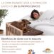 Cama elevada mascotas Faunatic con escalera y colchón basic Cama elevada mascotas Faunatic con escalera y colchón basic Marrón