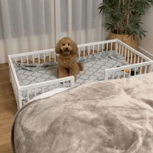 WonderWoof Sofá-cama grande para animais de estimação, com relevo, feito de madeira de faia u2013 Branco