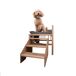 Cama elevada mascotas Faunatic con escalera y colchón Ortoflex Cama elevada mascotas Faunatic con escalera y colchón Ortoflex Gris