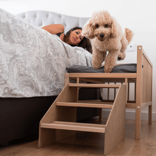 Cama para cão, gato, animal de estimação. Cama de madeira elevada com degrau de acesso. Com colchão de espuma viscoelástica Ortoflex. 2 alturas. Faunatic Ortoflex