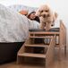 Cama elevada mascotas Faunatic con escalera y colchón Ortoflex Cama elevada mascotas Faunatic con escalera y colchón Ortoflex Gris