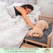 Cama elevada mascotas Faunatic con escalera y colchón Ortoflex Cama elevada mascotas Faunatic con escalera y colchón Ortoflex Gris