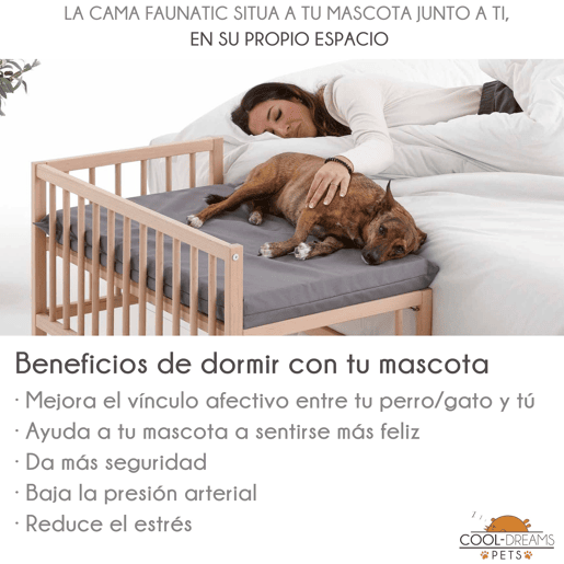 Cama para cão, gato, animal de estimação. Cama de madeira elevada com degrau de acesso. Com colchão de espuma viscoelástica Ortoflex. 2 alturas. Faunatic Ortoflex