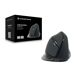 Ratón Ergonómico Óptico LORCAN03B Ratón Ergonómico Óptico LORCAN03B Negro