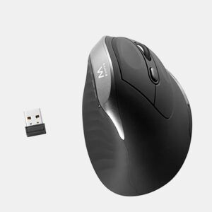 Rato Ergonómico Ótico Ewent ew3229 PretoCinzento
