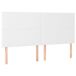 Cama box spring 200x200 Cama box spring 200x200 Blanco