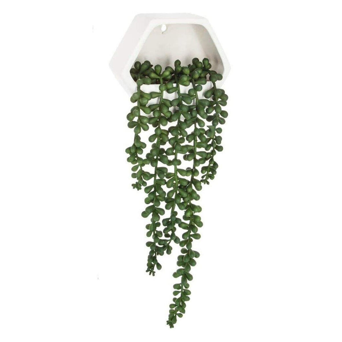 WELL HOME - Planta colgante de pared contemporánea