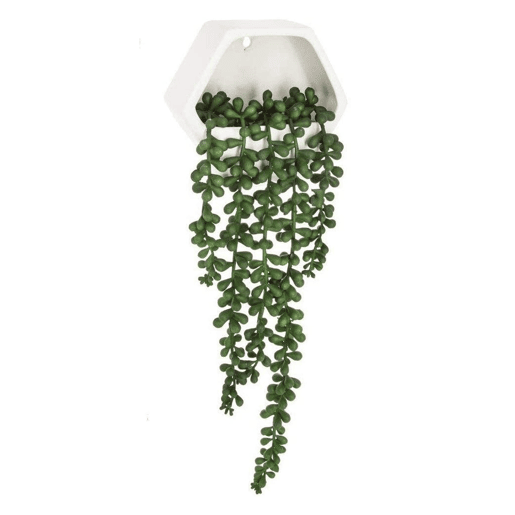WELL HOME - Planta contemporânea para pendurar na parede