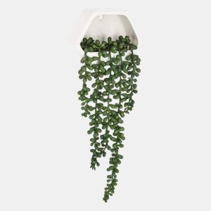 WELL HOME - Planta contemporânea para pendurar na parede