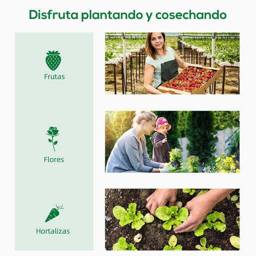 Outsunny Estufa de Jardim Pequena Estufa de Exterior com Janelas e Estrutura de Aço Estufa para Cultivar Tomates Plantas Flores 200x76x168 cm Branco