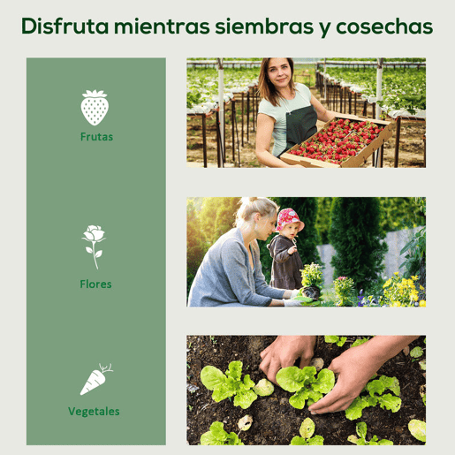 Outsunny Estufa de Exterior com 4 Prateleiras e Rodas, Estufa Compacta com Porta Enrolável, Estrutura de Aço e Cobertura de PVC, Anti-UV para Plantas, Vasos, Flores, 70x50x165 cm, Transparente