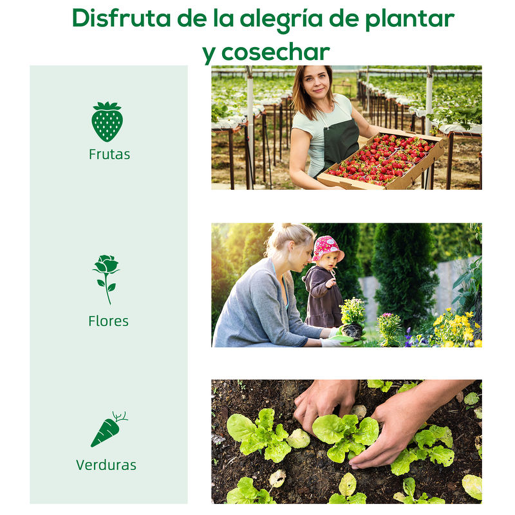 Outsunny Estufa tipo Túnel 400x200x205 cm Estufa de Jardim com Porta Enrolável e 6 Janelas Cobertura de PE 140 gm² Estrutura de Metal para Cultivo de Plantas Verduras Verde