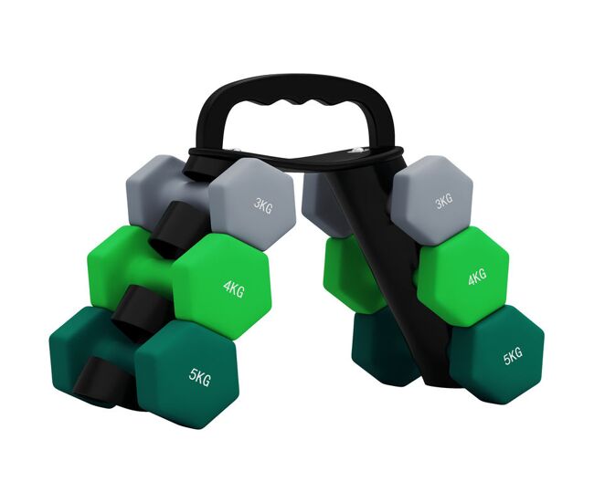 Sportnow juego de mancuernas de 6 piezas 24 kg mancuernas hexagonales con soporte de almacenamiento y mango antideslizante para musculación