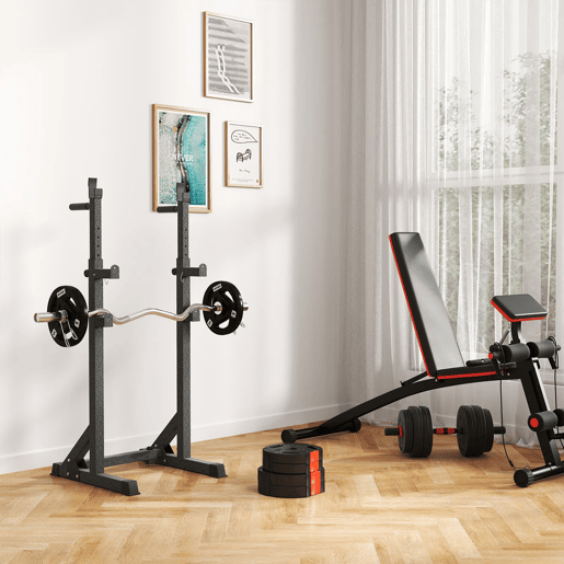 SPORTNOW Conjunto de Discos de Pesos de 4 Peças Discos de Pesos 2x5 kg e 2x2,5 kg com Orifícios de 2,5 cm para Treino Fitness em Casa Ginásio Preto