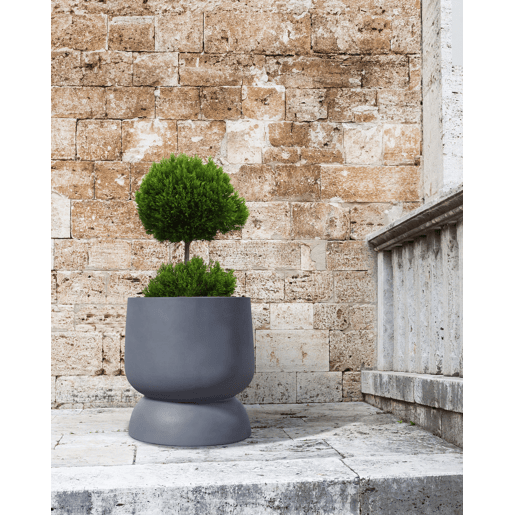 Beliani Vaso ARAUCARIA