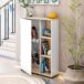 Mueble Recibidor con Espejo Adhara 1P Mueble Recibidor con Espejo Adhara 1P Blanco/ Madera