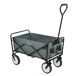 Carrito de playa plegable TYRS Carrito de playa plegable TYRS Gris