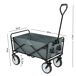 Carrito de playa plegable TYRS Carrito de playa plegable TYRS Gris