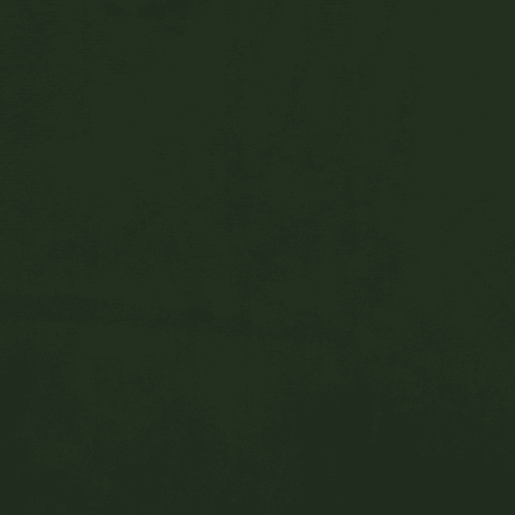 undefined undefined