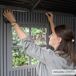 Lifetime Caseta de jardín con suelo, ventanas y estanterías 213 Lifetime Caseta de jardín con suelo, ventanas y estanterías 213 Gris