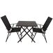 Aktive Conjunto plegable de jardín con mesa y 2 sillas de acero Aktive Conjunto plegable de jardín con mesa y 2 sillas de acero Negro