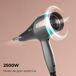 Secador de pelo Cecotec Bamba IoniCare Radiance AC 2500 W tecnología de iones negro Secador de pelo Cecotec Bamba IoniCare Radiance AC 2500 W tecnología de iones negro Negro