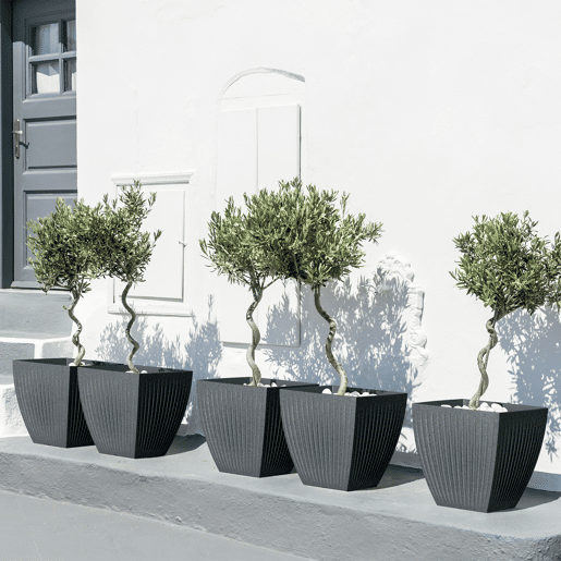 Vaso Latia Square MIDL Ø60x58 Antracite