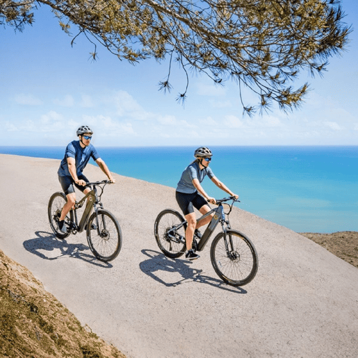 Bicicleta Elétrica Cecotec Avanti 250 W 29