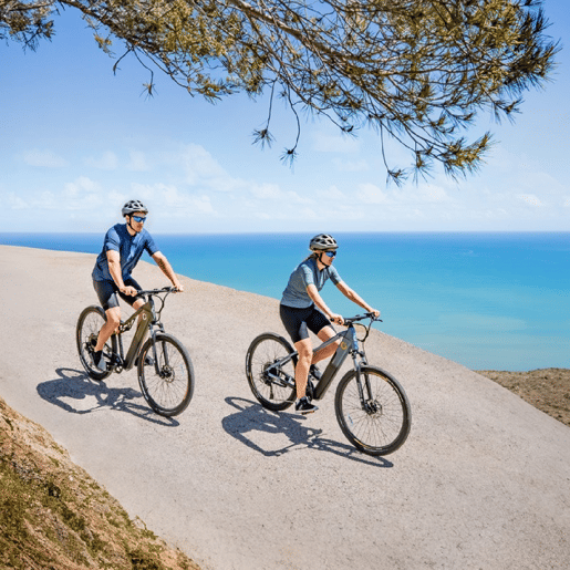 Bicicleta Elétrica Cecotec Avanti 250 W 29