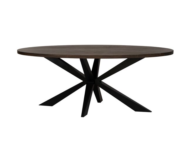 Mesa de comedor ovalada con pata araña suiza 200x100x76